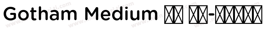 Gotham Medium 亮体 斜体字体转换